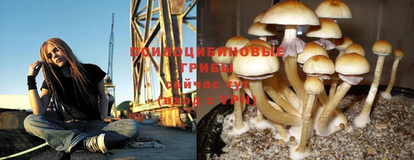 метадон Алексин
