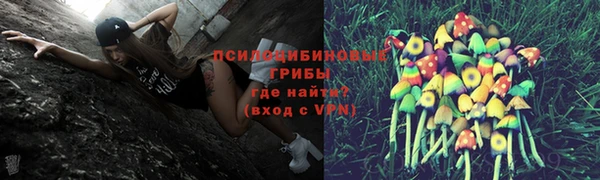 прущий лед Алексеевка
