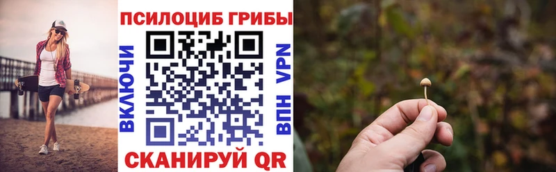 кракен ссылки цены Юрьевец Галлюциногенные грибы прущие грибы